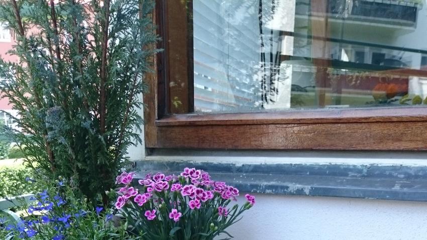 Fönster i teak renoveras löpande
