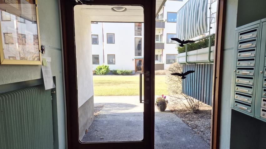 Isolering av fönster i trapphus under våren 2026